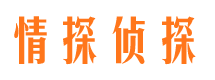 临安市场调查